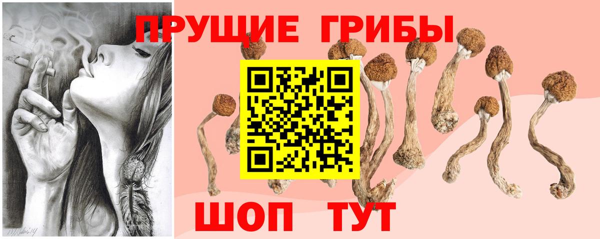Псилоцибиновые грибы Psilocybine cubensis Реж
