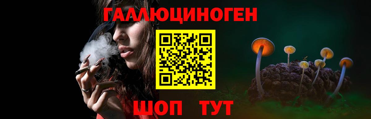 Псилоцибиновые грибы Psilocybine cubensis  Вход с VPN  Реж 